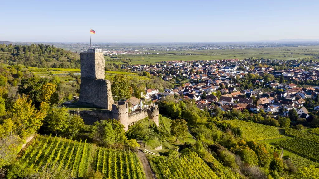 Blick auf die Wachtenburg und Wachenheim