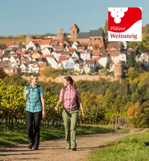 Wanderinnen auf dem Pfälzer Weinsteig mit dem Burg- und Weindorf Neuleiningen im Hintergrund