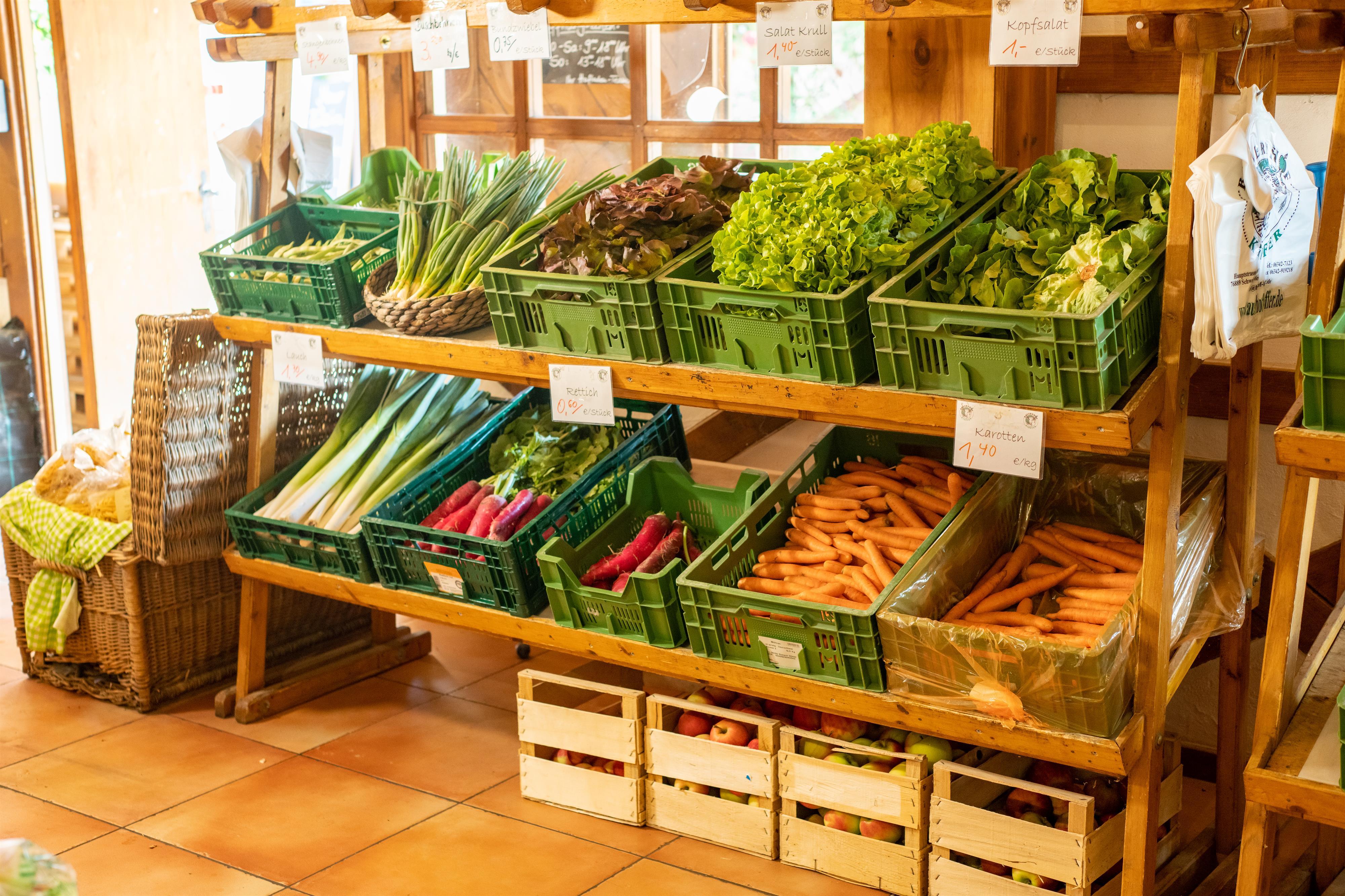 Gemüsegarten RheinPfalz Deutsche Weinstraße