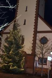 Weihnachtsbaum beleuchtet