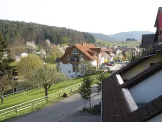 Ausblick von Küchenfenster (© Karin Knöspel)