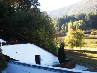 Aussicht von Terrasse (© Karin Knöspel)