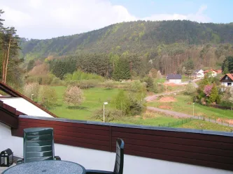 Ausblick Fewo Waldblick I (© Familie Schütze)