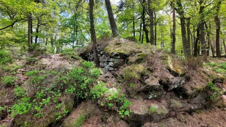 Heidenschuh5 (© Archiv TI Bad Bergzabern)