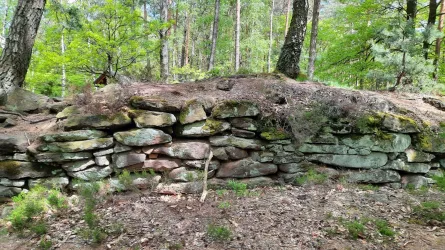 Ruine Heidenschuh4 (© Archiv TI Bad Bergzabern)