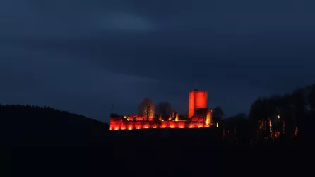 Burg Landeck (© Archiv Tourismusverein SÜW Bad Bergzabern e.V.)