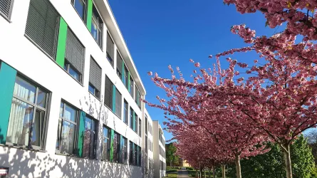 Pfalzklinikum1 (© Pfalzklinikum)