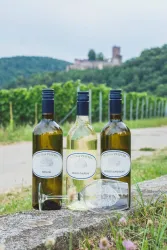 Weinflaschen (© Weinstube und Weinhof Pfeffer)
