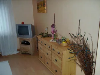 Wohnzimmer 2