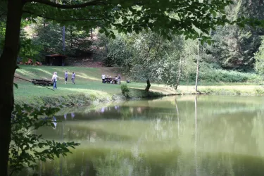 Idyillisch gelegener Morschbachweiher