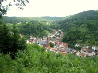 Weidenthaler Wald (© Familie Job)