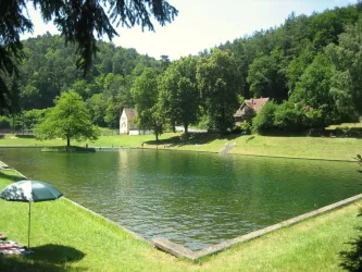 Weidenthaler Weiher (© Familie Job)