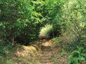 92 Stufen zum Himberg