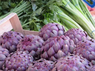 Artischocken