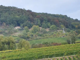 Hahnenböhler Kreuz bei Deidesheim 1