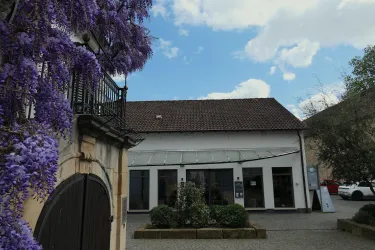 Forster Winzerverein 1