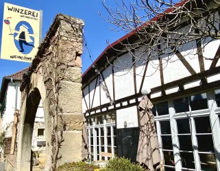 Winzerei Forst 2
