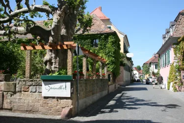 Weingut Heinrich Spindler 2 (© Weingut Heinrich Spindler)
