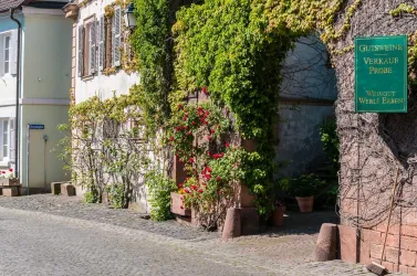 Weingut Werlé 2