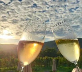 Restaurant Spindler - Weinbar MAGNUM 44