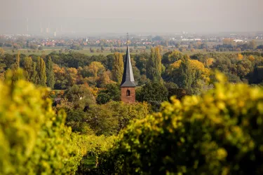 Kirche Forst 2