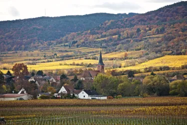 Kirche Forst 3