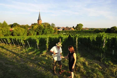 Weingut Acham-Magin 2