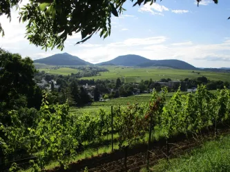 Wanderparadies durch Weinberge und Wald (© Helga Fuhrmann)