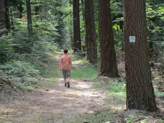 Wanderweg (© Helga Fuhrmann)