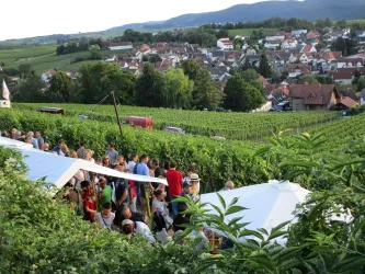 Weinfest in den Weinbergen (© Helga Fuhrmann)