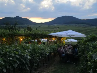 Abendstimmung  beim Weinfest (© Helga Fuhrmann)
