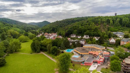 Kurpark von oben (© Tourismusverein SÜW Bad Bergzabern e.V.)
