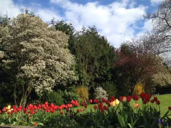 Garten