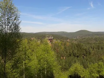 Felsen im Pfälzer Wald (© Dani)
