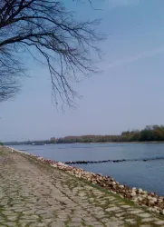 Am Rhein bei Leimersheim (© KS)
