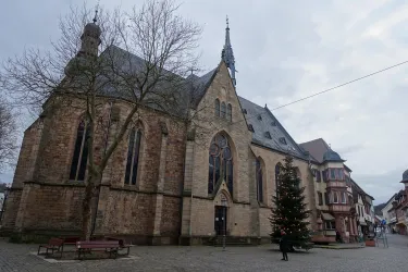 DSC00627
