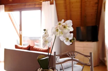 Becker´s Guesthouse_ Blume_Becker_deskline (© Becker)