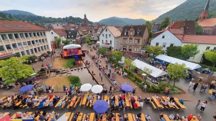 Festplatz (© Verein SÜW Annweiler e.V., Medhat Makar)