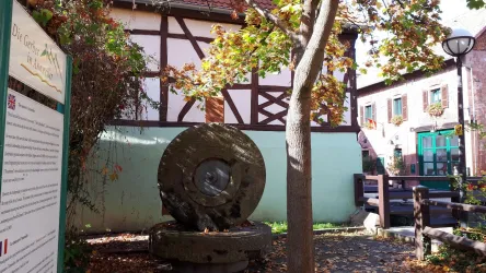 Mühlstein (© Archiv Verein SÜW Annweiler e.V.)