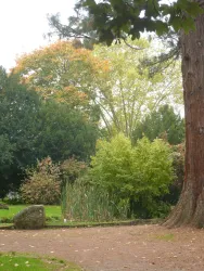 Ambertpark (© Verein SÜW Annweiler e.V)