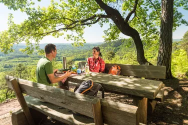 Picknickplatz (© Pfalz.Touristik e.V., Foto: Dominik Ketz)