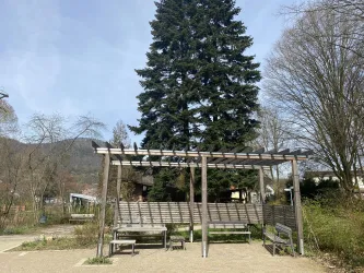 Pergola (© Verein SÜW Annweiler e.V.)