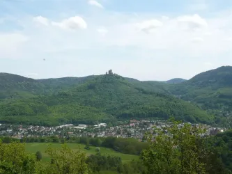 Ausblick vom Krappenfelsen (© Archiv Verein SÜW Annweiler e.V.)