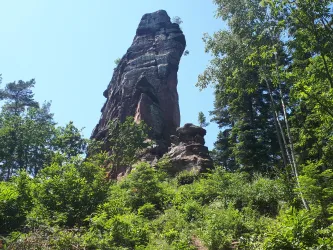 Asselstein (© Verein SÜW Annweiler e.V.)