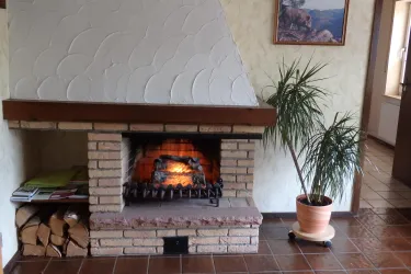 Kamin