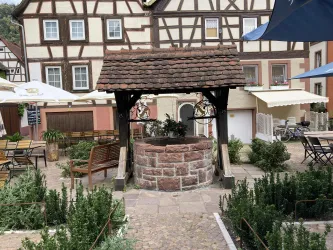 Außenbereich (© Verein SÜW Annweiler e.V.)