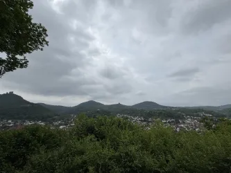Ausblick Schützenhaus (© Verein SÜW Annweiler e.V.)