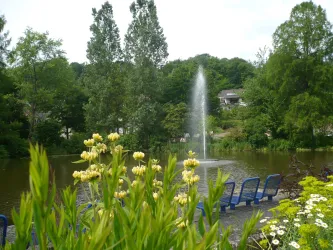 Weiher (© Verein SÜW Annweiler e.V.)