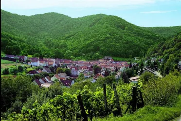 Gräfenhausen (© Verein SÜW Annweiler e.V.)