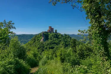 Trifels vom Annweilerer Burgenweg (© Archiv Verein SÜW Annweiler; Dirk Weber)